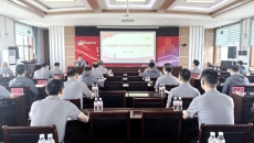 2025新老澳门原料网站