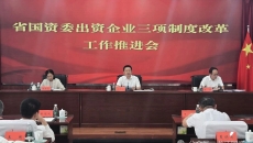 2025新老澳门原料网站