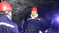 2025新老澳门原料网站