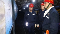 2025新老澳门原料网站