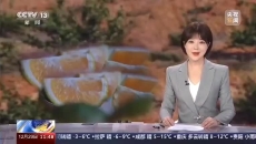 2025新老澳门原料网站