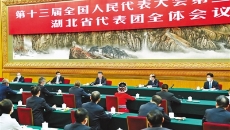 2025新老澳门原料网站