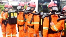 2025新老澳门原料网站