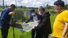 2025新老澳门原料网站