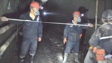 2025新老澳门原料网站