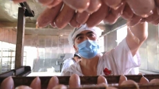 2025新老澳门原料网站