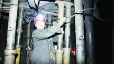 2025新老澳门原料网站