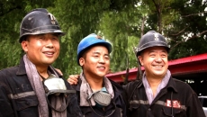 2025新老澳门原料网站