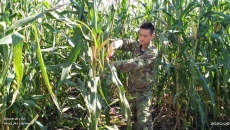 2025新老澳门原料网站