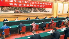 2025新老澳门原料网站