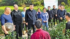 2025新老澳门原料网站