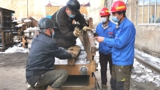 2025新老澳门原料网站