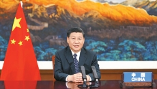 2025新老澳门原料网站