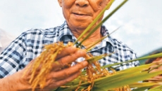 2025新老澳门原料网站