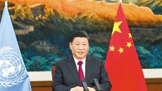 2025新老澳门原料网站