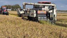 2025新老澳门原料网站