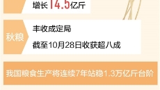 2025新老澳门原料网站