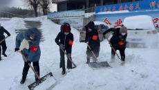 2025新老澳门原料网站