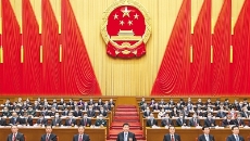 2025新老澳门原料网站