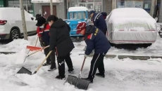 2025新老澳门原料网站