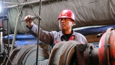 2025新老澳门原料网站