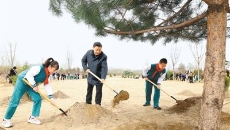 2025新老澳门原料网站