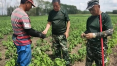 2025新老澳门原料网站