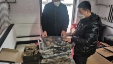 2025新老澳门原料网站