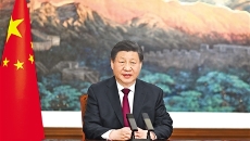 2025新老澳门原料网站