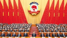 2025新老澳门原料网站