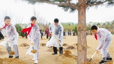 2025新老澳门原料网站