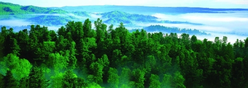 微信图片_20230409180936