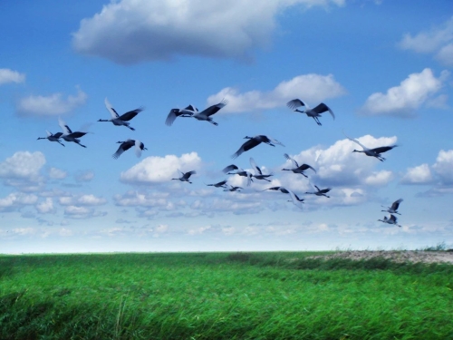 微信图片_20230409181002