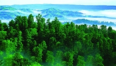 2025新老澳门原料网站