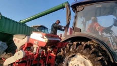 2025新老澳门原料网站