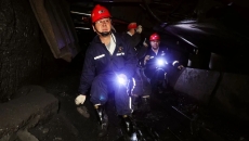 2025新老澳门原料网站