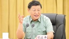 2025新老澳门原料网站