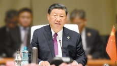 2025新老澳门原料网站