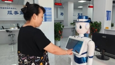 2025新老澳门原料网站