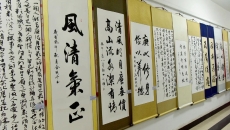 2025新老澳门原料网站