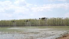 2025新老澳门原料网站