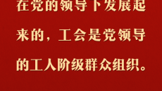 2025新老澳门原料网站