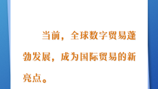 2025新老澳门原料网站