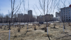 2025新老澳门原料网站