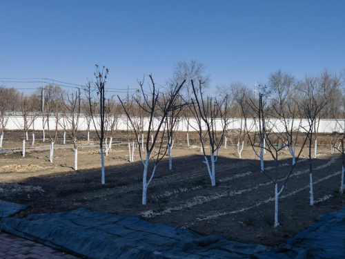 微信图片_20240402192040