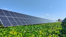 2025新老澳门原料网站