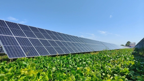 微信图片_20240416182038