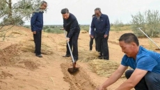 2025新老澳门原料网站