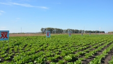 2025新老澳门原料网站