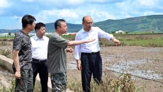 2025新老澳门原料网站